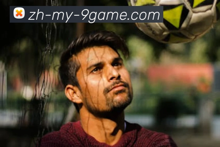 奖项证书
